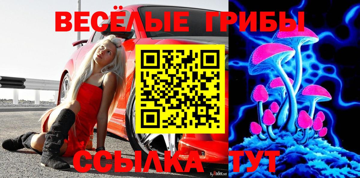 Галлюциногенные грибы GOLDEN TEACHER  Вход с VPN  Ногинск 