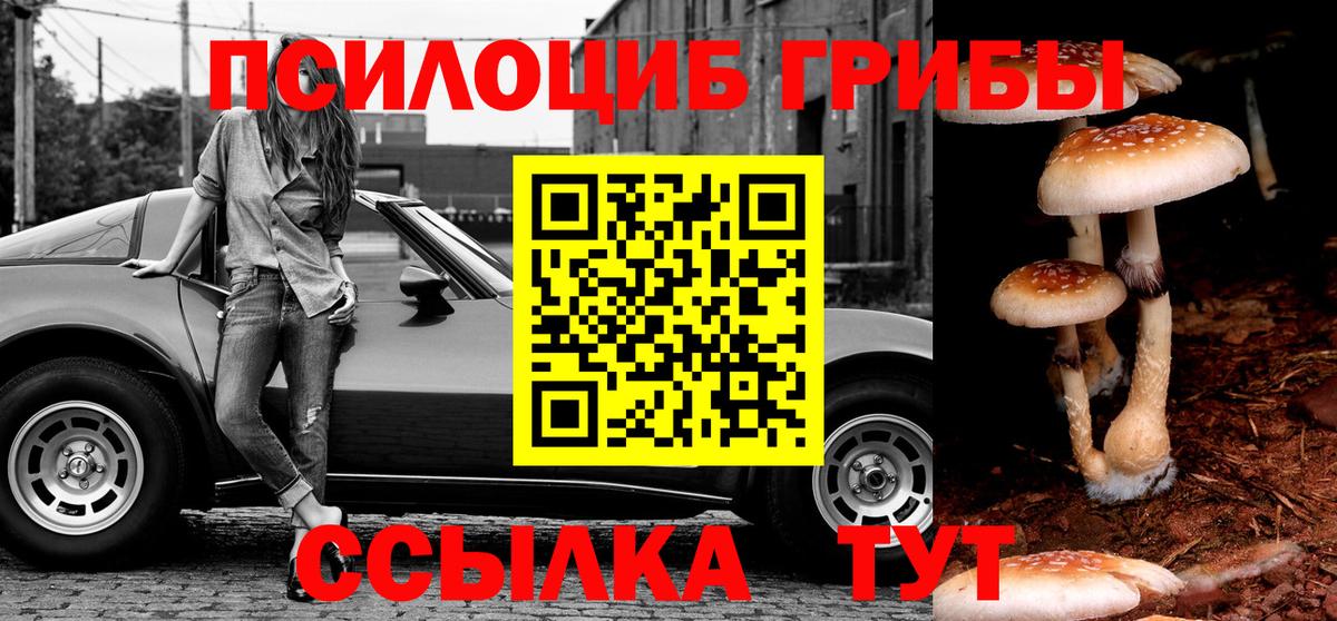 Псилоцибиновые грибы Psilocybine cubensis Ногинск